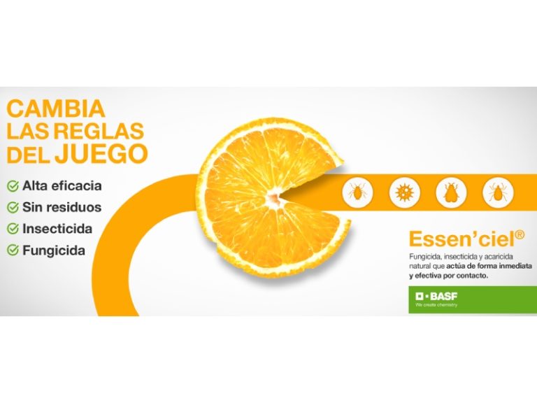 BASF ESENCIEL