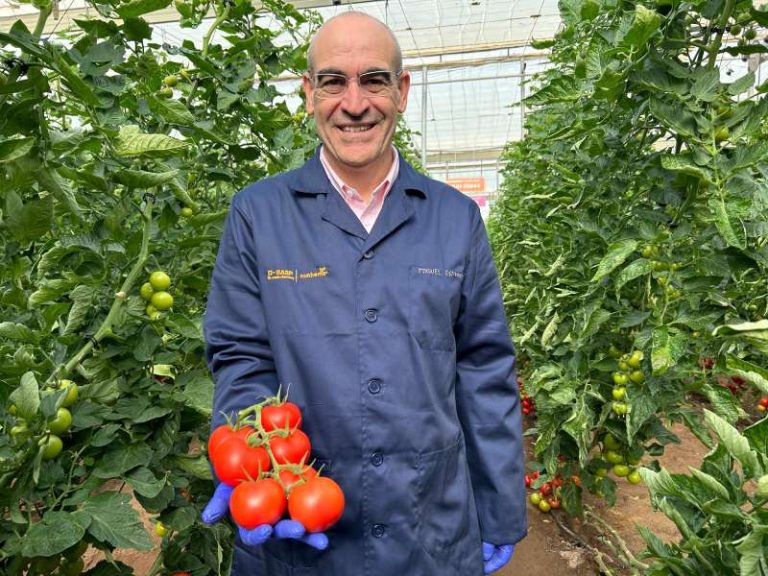 BASF Nunhems Tomato Experience Miguel Espinosa