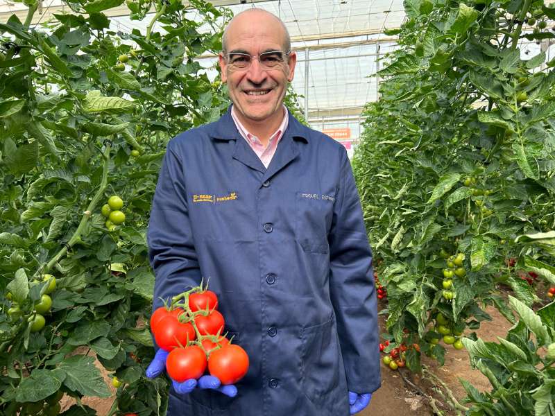 BASF Nunhems Tomato Experience Miguel Espinosa