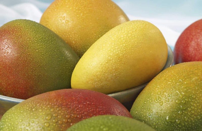 industria-del-mango