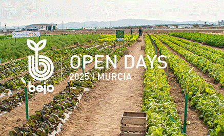 Bejo-Open-Days