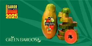 PAPAYÓN-ARUBA
