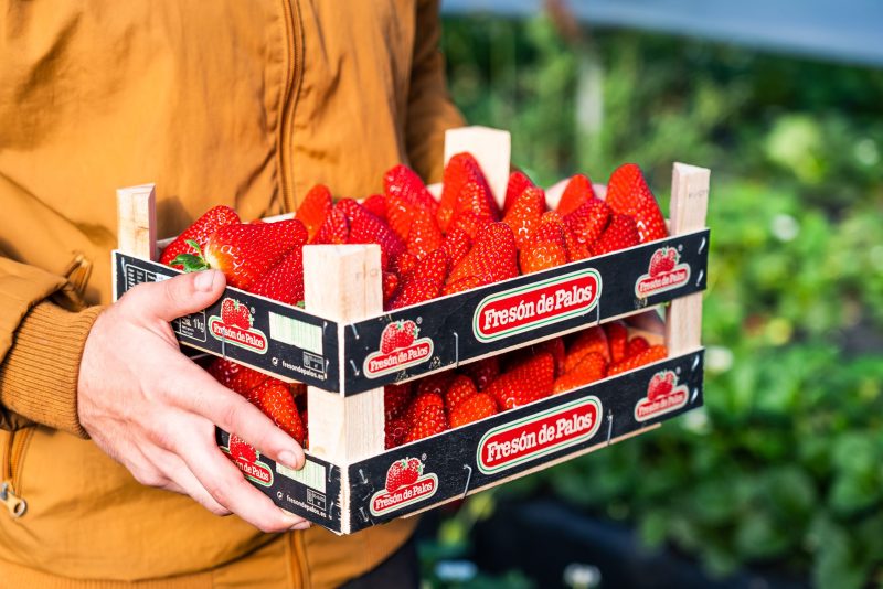 Campo_Fresón-Palos_82_b