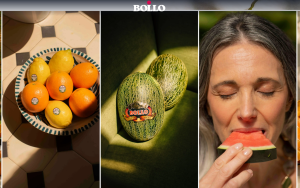 bollo-campaña