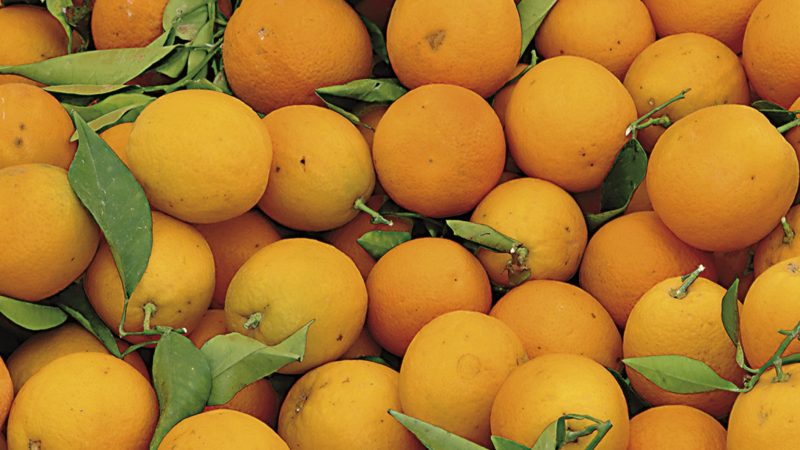 materias-activas-prohibidas