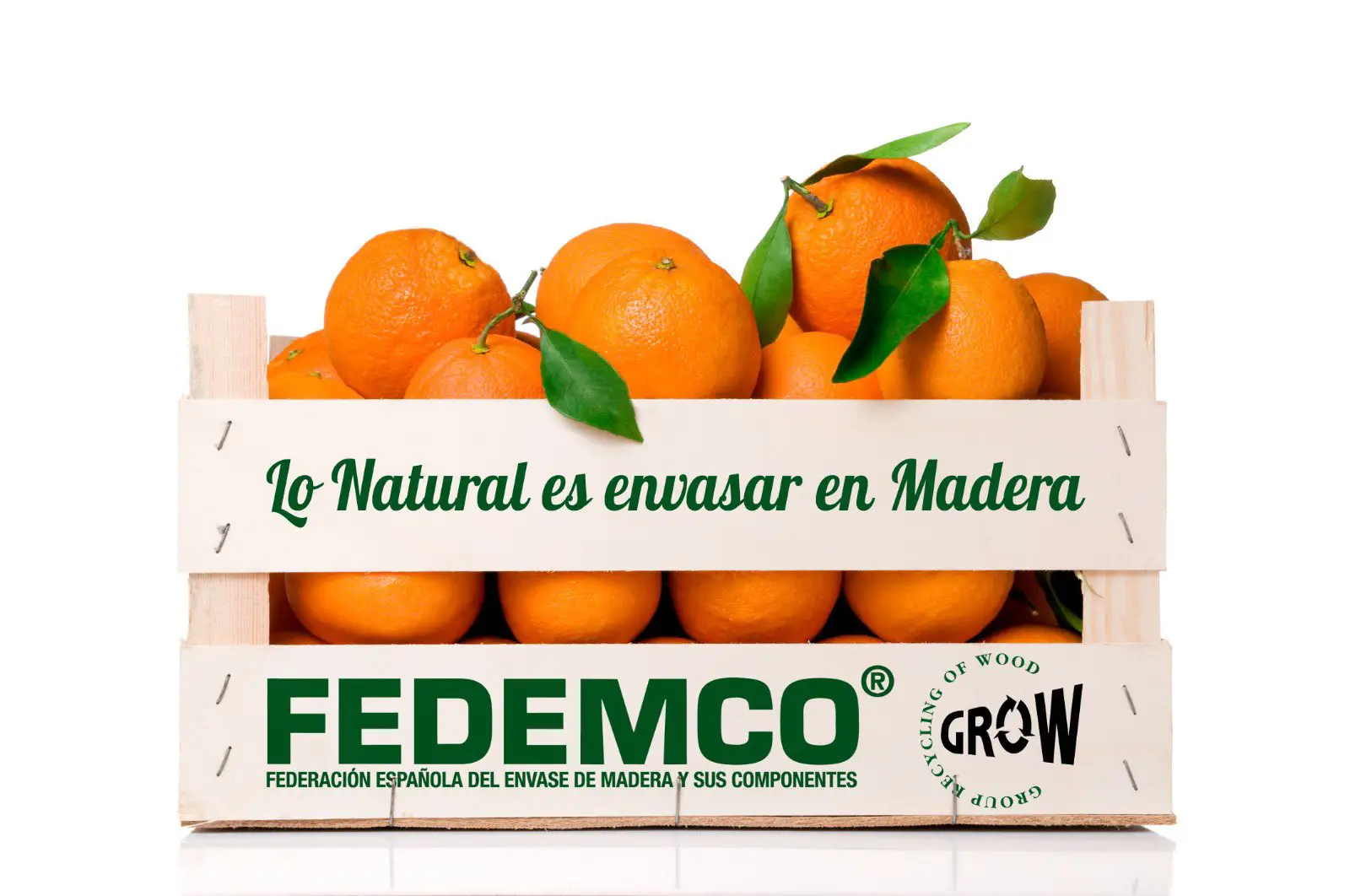 FOTO CAJA MANDARINAS