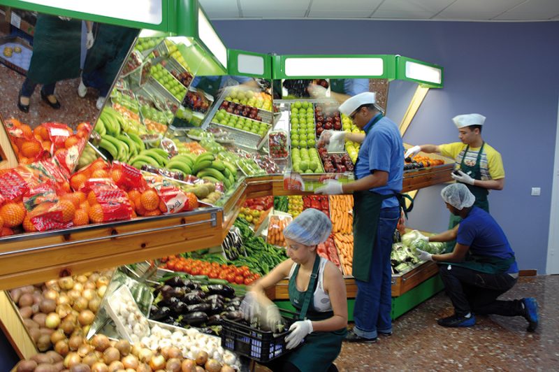 formación-alimentaria-mercabarna