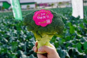 BROCOLI-CUTE-FRESH