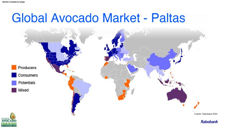 Global_Avacado_Market_Map