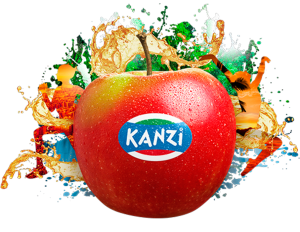 kanzi-splash