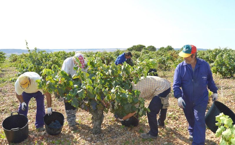 paro-agrícola