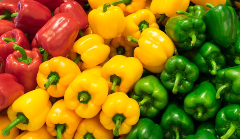 proexport-pimientos