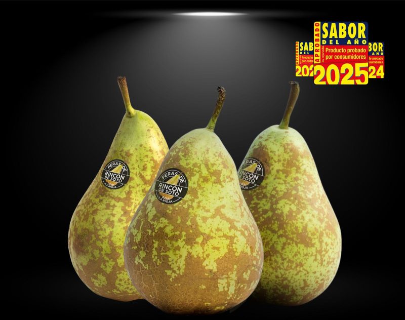 rincón-de-soto-sabor-del-año