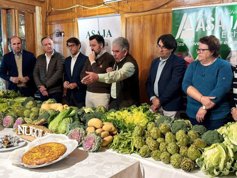 previsión-camp-d'elx