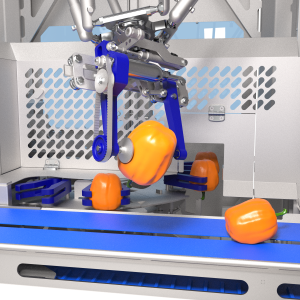Sormac PCR detail gripper