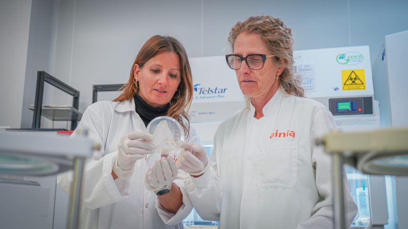 ainia-biomasa-agrícola