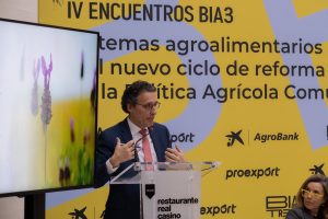 bia3-consultores