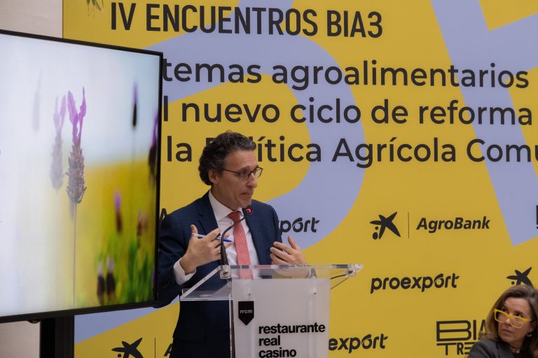 bia3-consultores