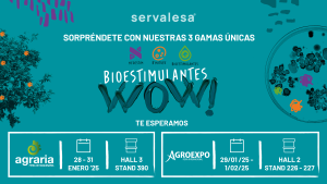 SERVALESA-WOW