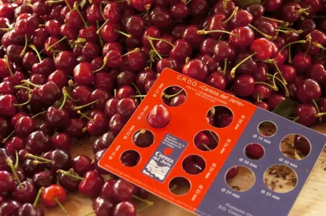 cerezas-del-jerte