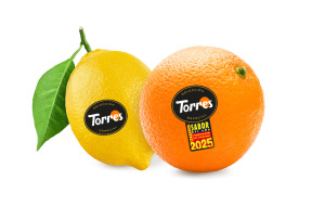 torres-sabordelaño