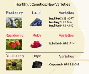 hortifrut-genetics