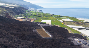 EUROPLÁTANO-VOLCÁN-LA-PALMA
