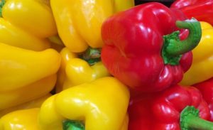 pimiento-ESPAÑOL-EE.UU.