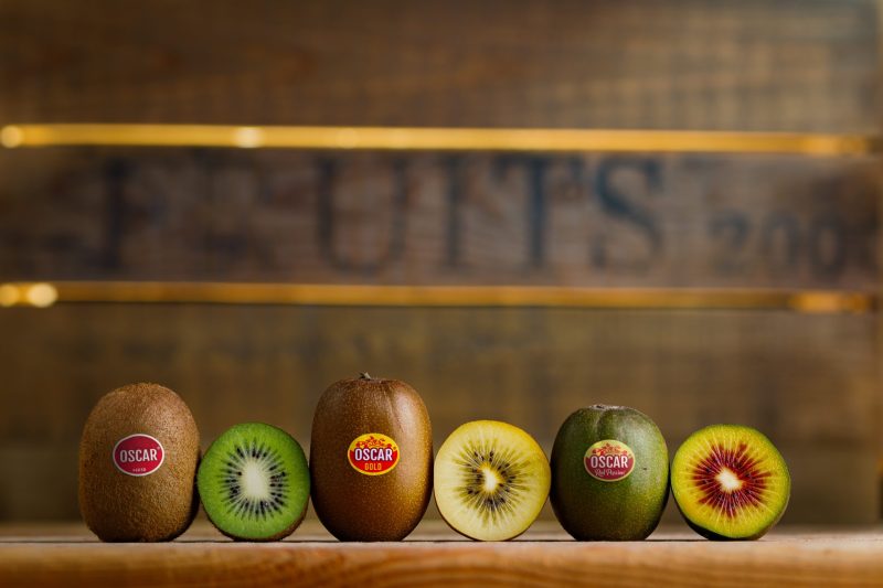 KIWI-PRIMLAND