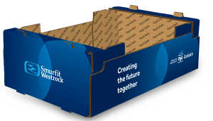 SMURFIT-WESTROCK-OBSERVATORIO-DE-INNOVACIÓN