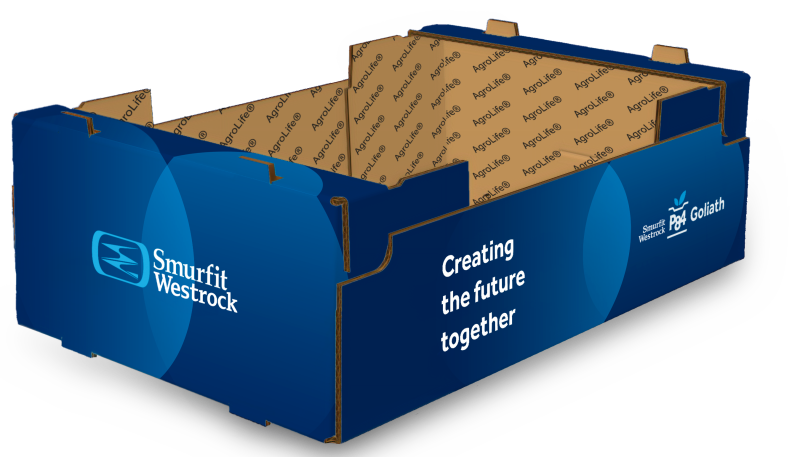 SMURFIT-WESTROCK-OBSERVATORIO-DE-INNOVACIÓN