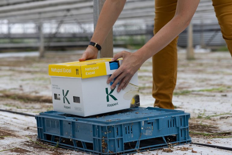 Natupol Excel - Koppert (1)