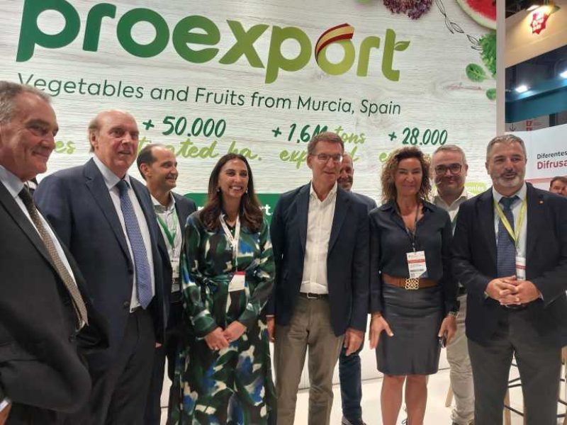 PROEXPORT NUÑEZ FEIJOO