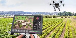 empresas-agrotecnológicas-españa