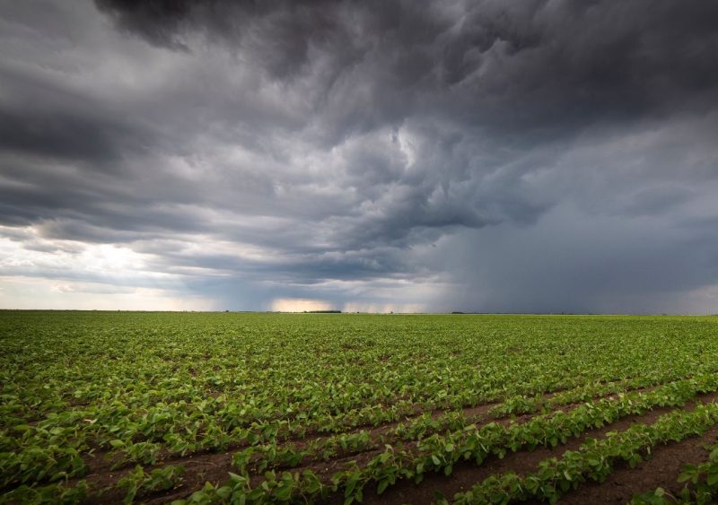 AGROCLIMA-cambio-climático