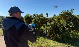 DRONSafe