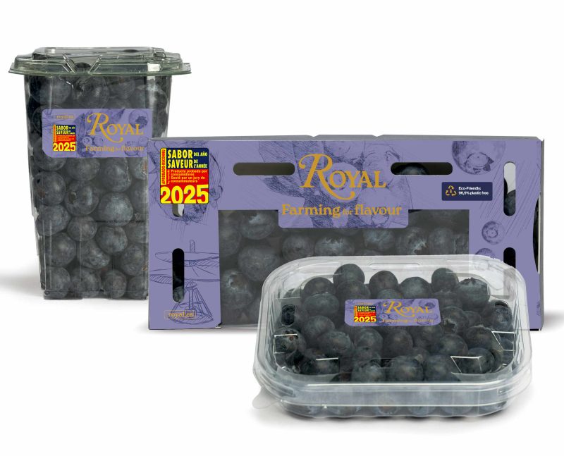 pack 2025 royal blu aroma