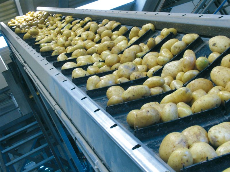 UDAPA-CADENA-PATATAS