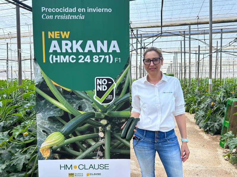 Calabacín Arkana_Beatriz Palmero HMCLAUSE