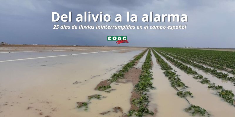 lluvias-campo-español