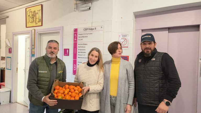 proexport-escolares.madrid