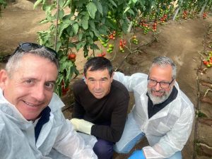 Equipo Tomato Days BAYER SEMINIS