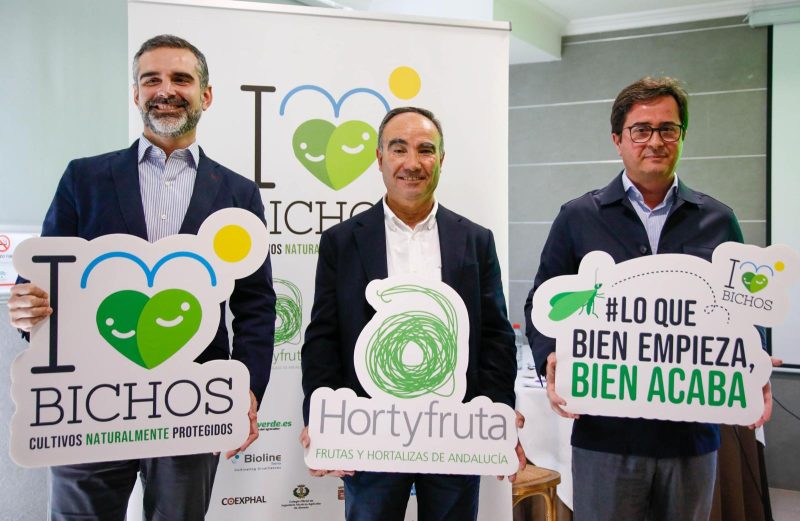 junta-de-andalucía-hortyfruta