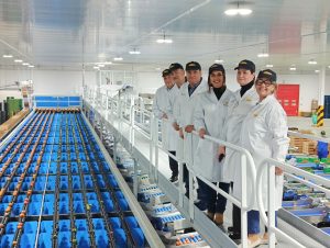 AGRÍCOLA-PERICHÁN-CALIBRADORA