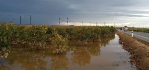agroclima-tiempo-en-españa