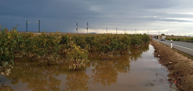 agroclima-tiempo-en-españa
