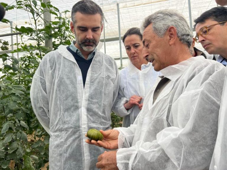 Invernadero tomate premium_visota consejero Ramón Fernández Pacheco