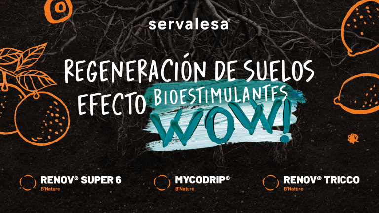 SERVALESA-CITRUS-CONNECT