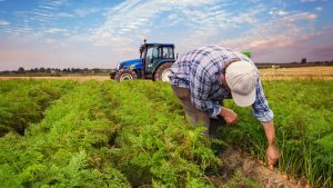 paro-agrícola-paro-agricultura