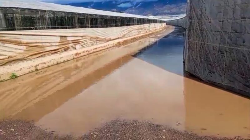 SANDÍA-ALMERÍA